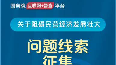 老美女日BB网站国务院“互联网+督查”平台公开征集阻碍民营经济发展壮大问题线索